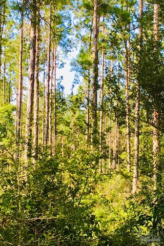 9209 Sage Forest Ln, Pace, FL 32571