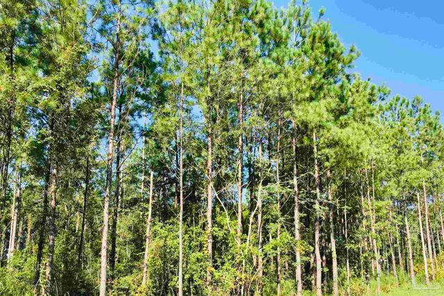 9209 Sage Forest Ln, Pace, FL 32571