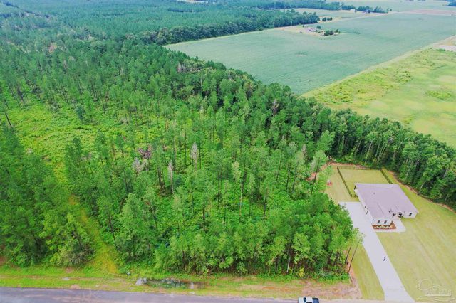 9209 Sage Forest Ln, Pace, FL 32571