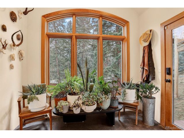 24844 N Turkey Creek Rd, Evergreen, CO 80439