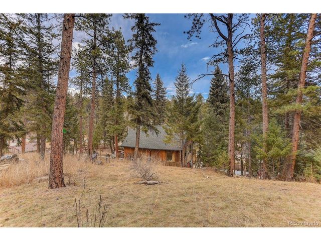 24844 N Turkey Creek Rd, Evergreen, CO 80439