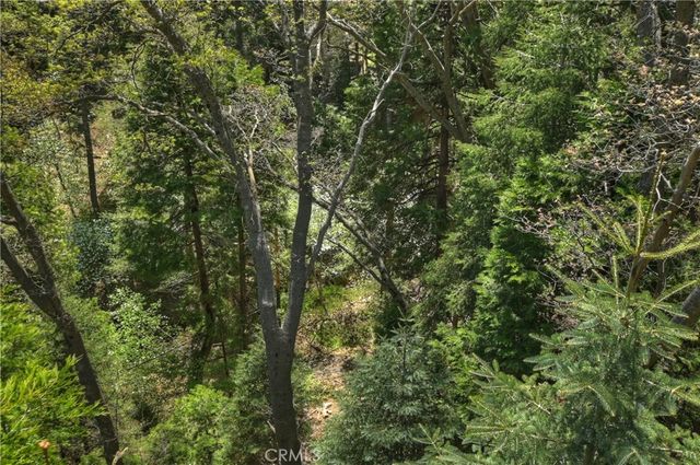 543 Community Drive, Lake Arrowhead, CA 92352