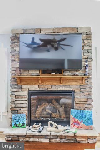 12549 DAYE GIRLS RD, Bishopville, MD 21813