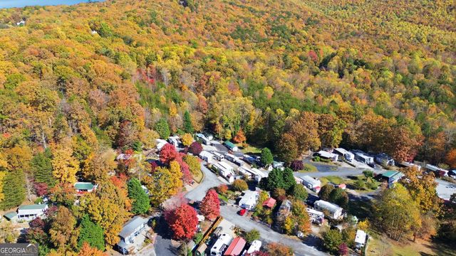 107 Holiday Loop, Cleveland, GA 30528