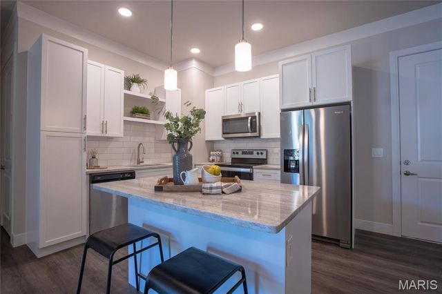 226 E Lockwood Avenue 305, St Louis, MO 63119
