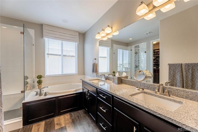 6682 Angelique Avenue, Castle Rock, CO 80108