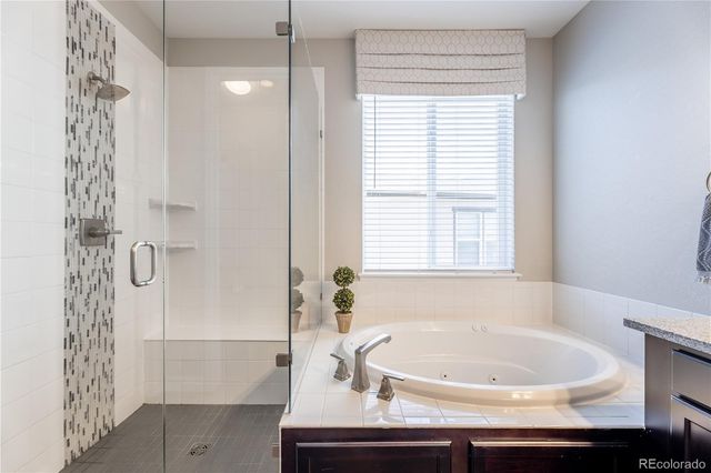 6682 Angelique Avenue, Castle Rock, CO 80108