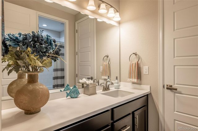 6682 Angelique Avenue, Castle Rock, CO 80108