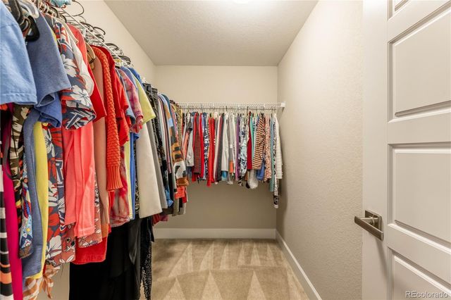 6682 Angelique Avenue, Castle Rock, CO 80108