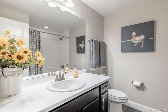 6682 Angelique Avenue, Castle Rock, CO 80108