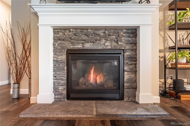 6682 Angelique Avenue, Castle Rock, CO 80108