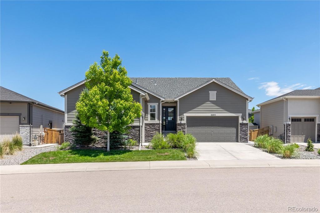 6682 Angelique Avenue, Castle Rock, CO 80108