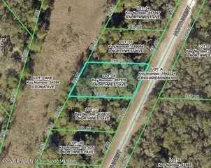 7352 Northwest Avenue, Webster, FL 33597