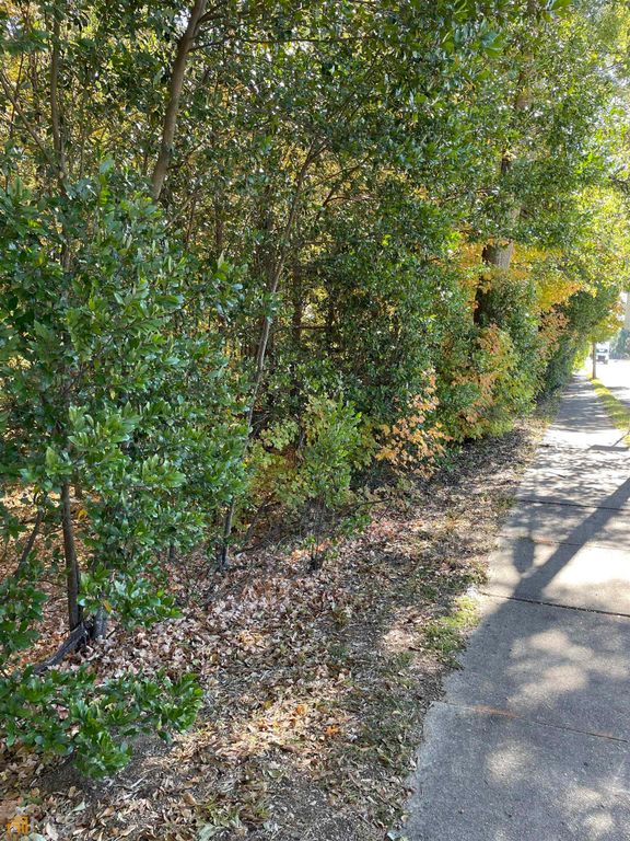 0 Atlanta Street, Mcdonough, GA 30253