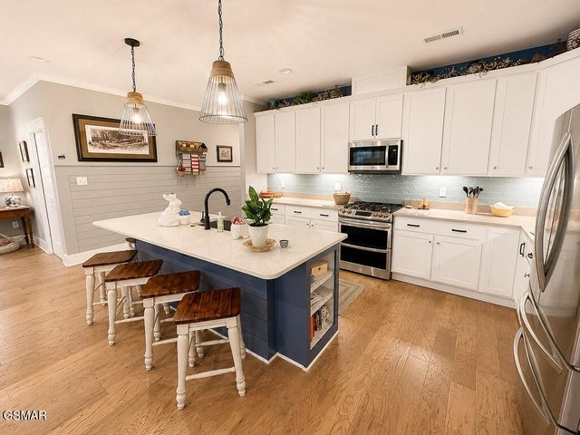 526 Simmons View Drive, Seymour, TN 37865