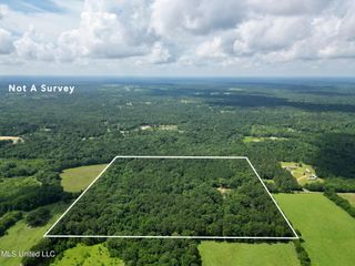 55 Amacker Road, Poplarville, MS 39470