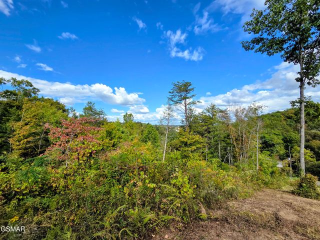 220 Pheasant Court, Sevierville, TN 37876