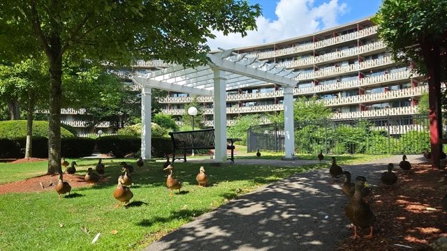 200 Swanton L8, Winchester, MA 01890