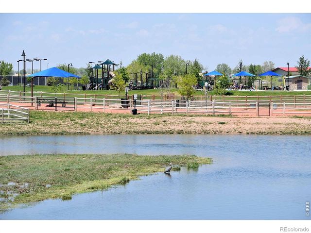 3268 White Buffalo Drive, Wellington, CO 80549