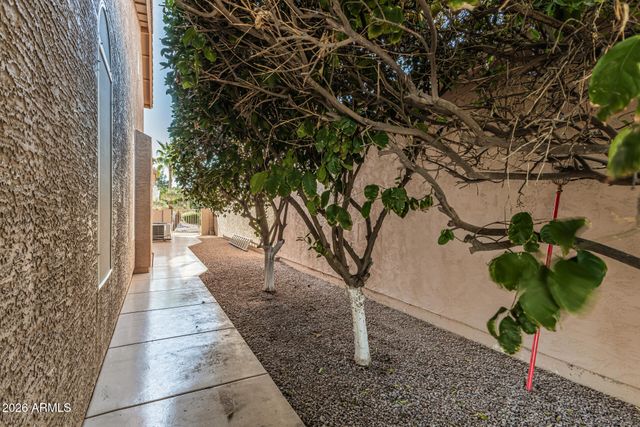 11018 E TWILIGHT Court, Sun Lakes, AZ 85248
