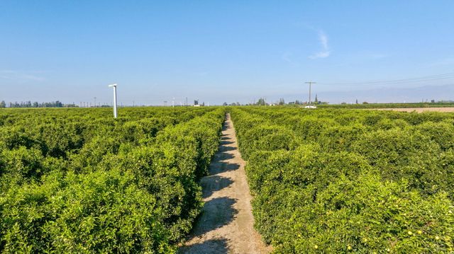 1435 E Palm Drive, Exeter, CA 93221