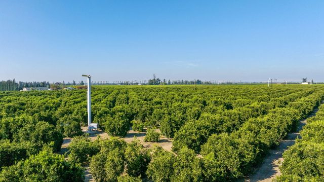 1435 E Palm Drive, Exeter, CA 93221