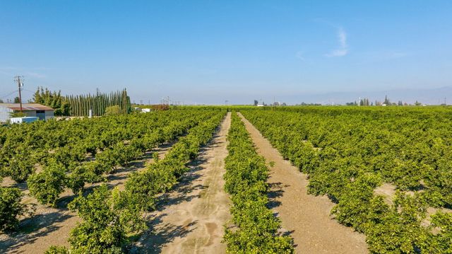 1435 E Palm Drive, Exeter, CA 93221