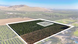 1435 E Palm Drive, Exeter, CA 93221