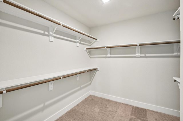 3008 La Rambla Drive, Houston, TX 77047