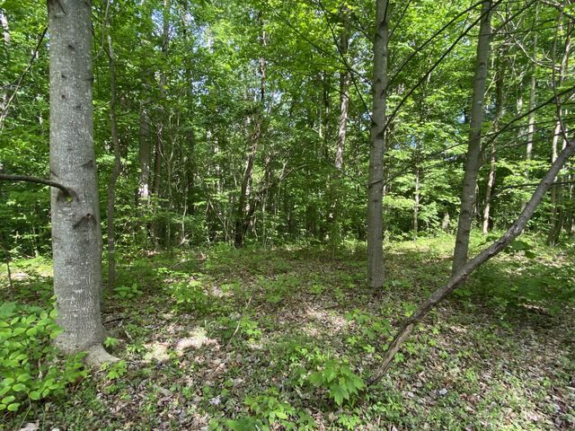 297 Tennis Center Drive, Smithville, TN 37166