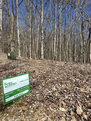 297 Tennis Center Drive, Smithville, TN 37166