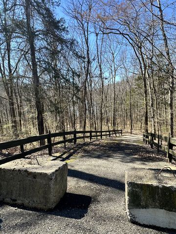 297 Tennis Center Drive, Smithville, TN 37166