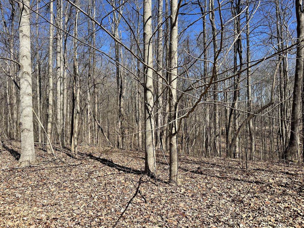 297 Tennis Center Drive, Smithville, TN 37166