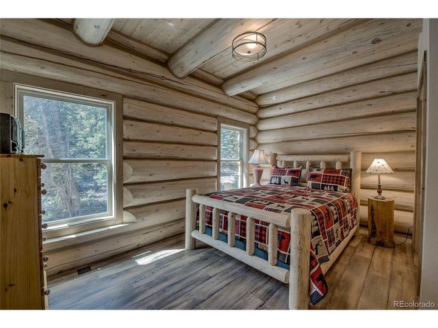 629 Bum Dr, Fairplay, CO 80440