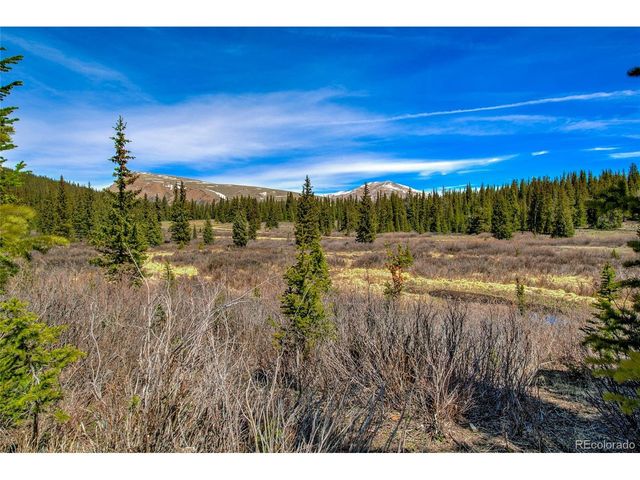 629 Bum Dr, Fairplay, CO 80440