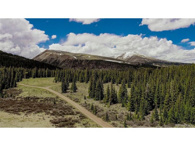 629 Bum Dr, Fairplay, CO 80440