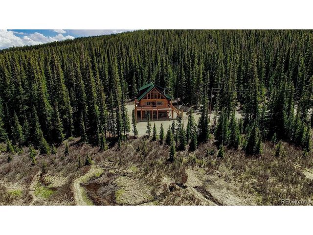 629 Bum Dr, Fairplay, CO 80440