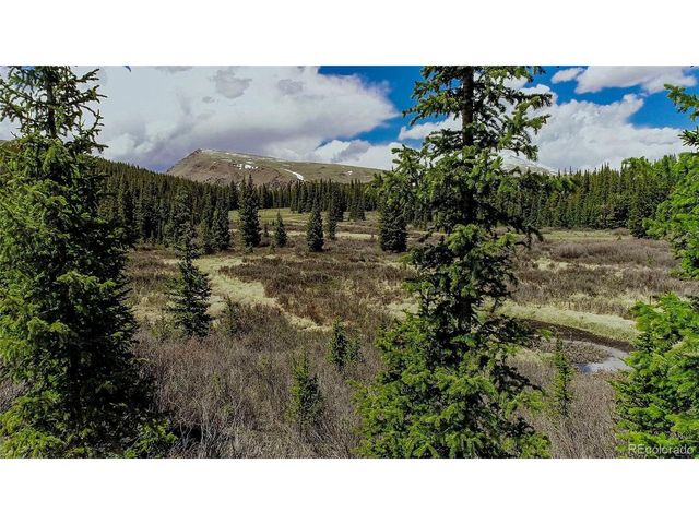 629 Bum Dr, Fairplay, CO 80440