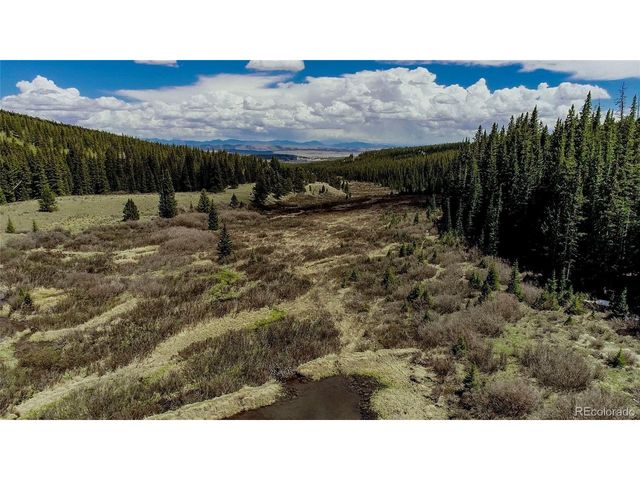 629 Bum Dr, Fairplay, CO 80440