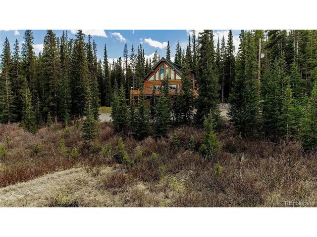 629 Bum Dr, Fairplay, CO 80440