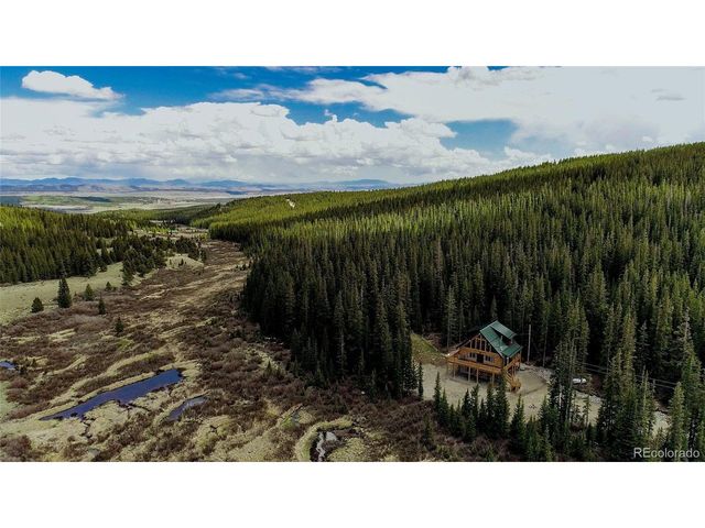 629 Bum Dr, Fairplay, CO 80440