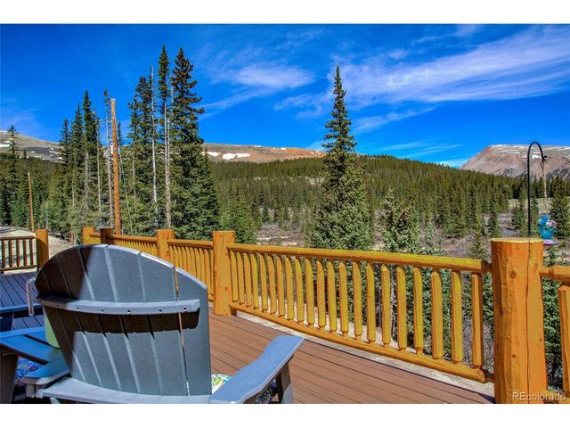 629 Bum Dr, Fairplay, CO 80440