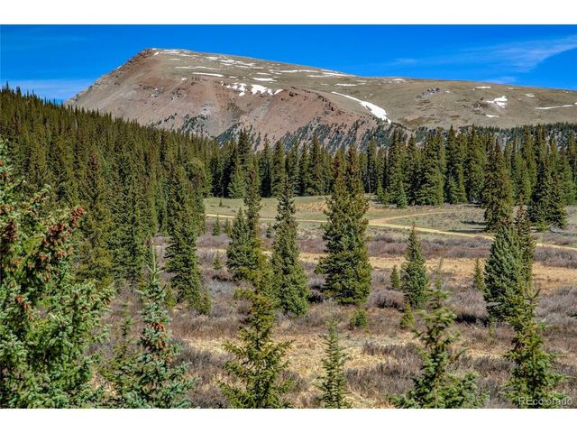 629 Bum Dr, Fairplay, CO 80440