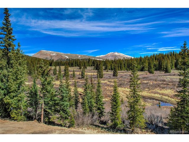 629 Bum Dr, Fairplay, CO 80440