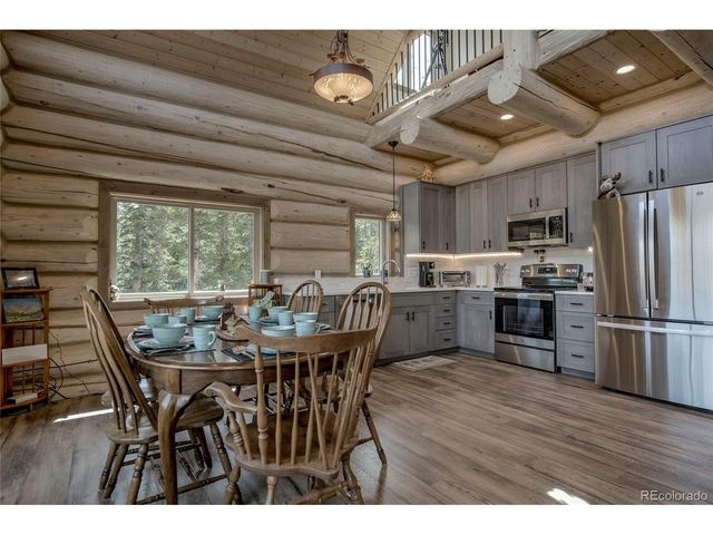 629 Bum Dr, Fairplay, CO 80440