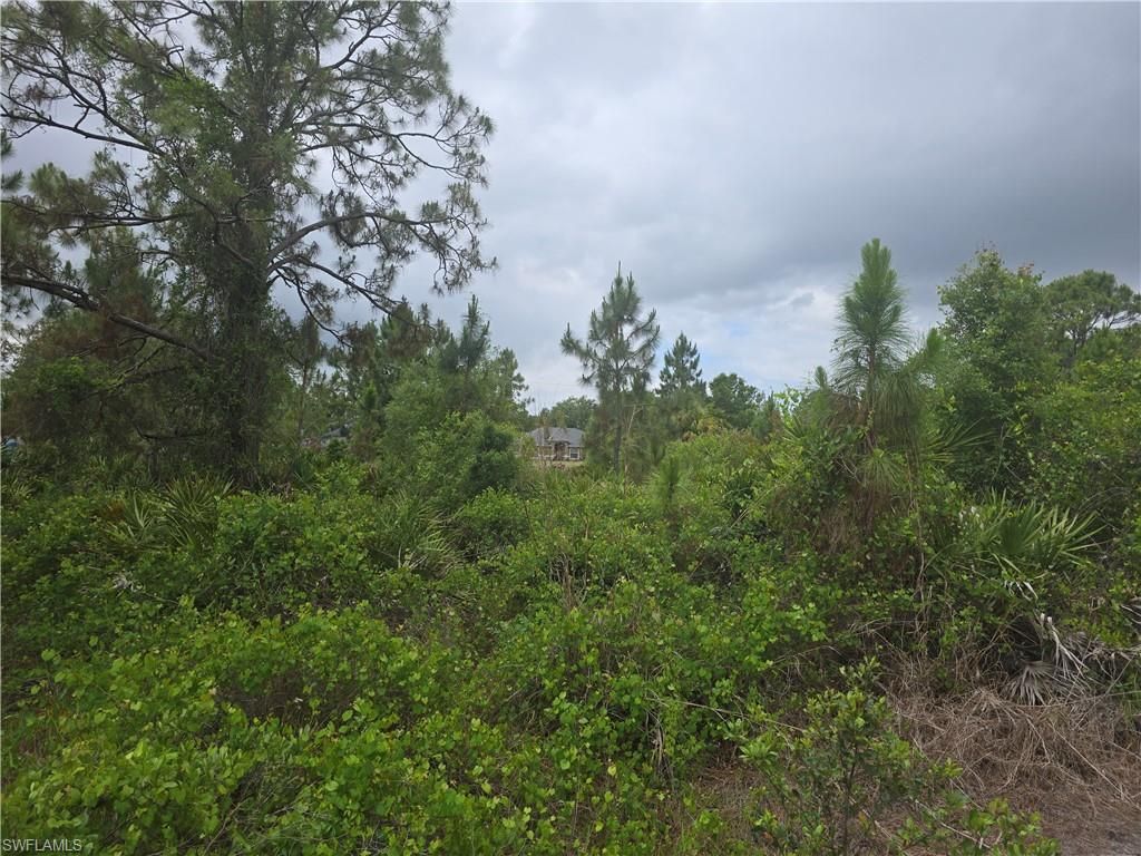 1036 Card ST E, LEHIGH ACRES, FL 33974 — photo 2