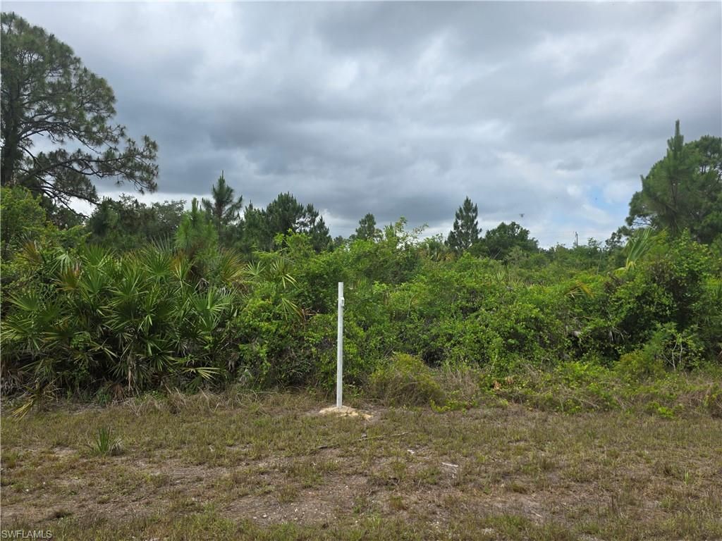 1036 Card ST E, LEHIGH ACRES, FL 33974 — photo 3