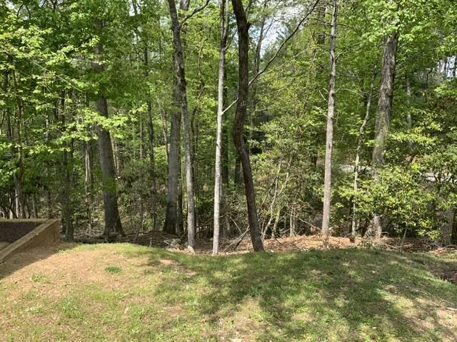 426 Shenendoa Dr., Ellijay, GA 30540