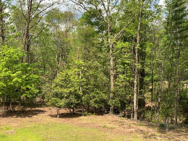 426 Shenendoa Dr., Ellijay, GA 30540
