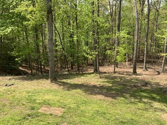426 Shenendoa Dr., Ellijay, GA 30540